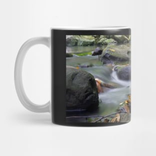 nature stream Mug